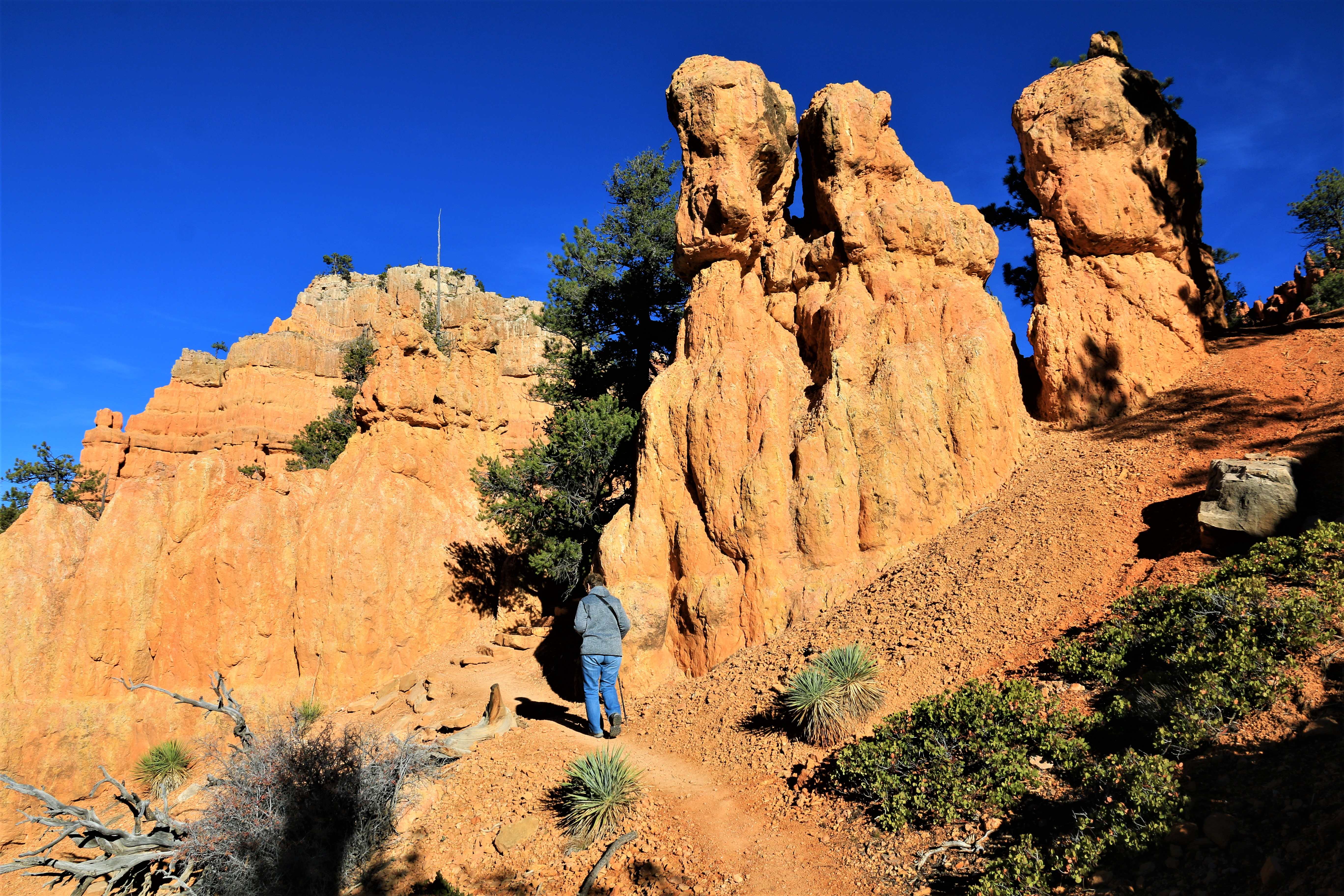 Red Canyon